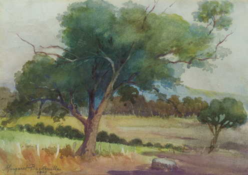 Landscape with large tree in foreground and bush, more trees, mountain and sky in background.