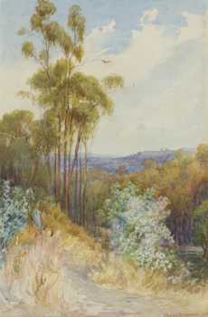 Landscape of stringybark saplings on the left, bushes and grasses covering a hill or mound to the left. More trees and a fence in the middle and blueish mountains in the background. Blue sky with white clouds