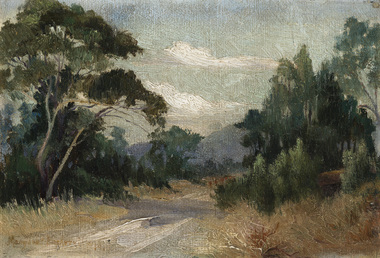 Bush scene with track at centre, gums trees and other foliage to either side. Cloudy sky and mountains in the background.