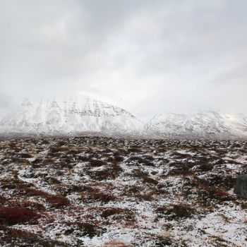 Colour photograph of Icelandic partially snow covered landscape with brown low vegetation in foreground. Hills and mountains in background. Grey cloudy sky.