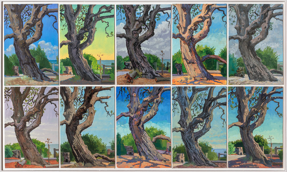 Framed oil painting consisting of ten panels laid out in 2 rows. Each panel depicts a Banksia tree in different conditions/seasons at Ricketts Point, Beaumaris. The tree itself is taken from a low vantage point where the large trunk and lower branches are in view. In the distance is green shrubbery and behind that glimpse of the Bay