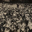 Panoramic sepia photograph of a large crowd of people on a football oval.