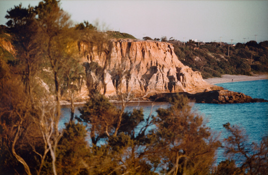 Colour photograph of a large sandy coloured cliff by the blue water, in the foreground is trees.