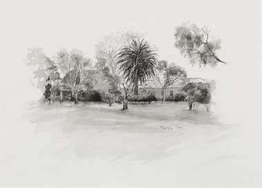 Black and white illustration of parkland with a large palm tree, lawn in foreground and building in background.