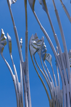 Close up photograph of a silver sculpture of reeds with blue sky behind.