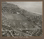 Black and white aerial photograph of a park with sporting ovals. It is surrounded by streets of buildings and the distant coast line.