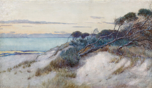 Watercolour of a coastal view of Brighton Beach at sunset. Leaning ti-trees and clumps of grass cover a small sandy dune on the right with the light blue bay to the left.