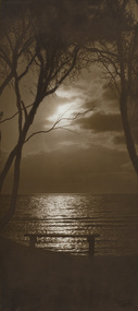 Sepia photograph of a sun setting behind clouds over the water. A bench seat is by the water in between two leaning ti-trees.