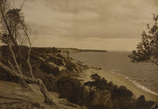 Sepia photograph of a coastal scene. The vegetated coast is on the left, the water to the right. Rocky cliffs in the distance.
