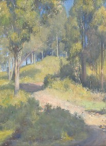 Rural landscape with green gum trees, grass and dirt road leading from bottom right hand corner up a hill to the middle left hand side.