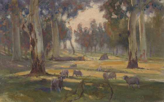 Rural landscape with dappled sunlight. Sheep grazing amongst large trees.