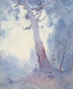 Landscape with one dominant gum tree in foreground and misty blue forest in background.