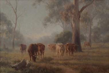 Rural landscape with brown and cream cows grazing in the foreground and midground amongst trees in a misty atmosphere.
