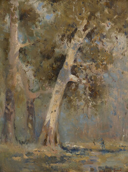 There is a large stand of gum trees in rural landscape that dominates the image. There is a small figure standng next to water in midground.