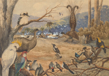 Clearing in a rural landscape with treed hills in the background. There is a circle of different types of birds including a cockatoo, emu, kookaburra, blue wren, peacock, swans, pelican and rosella with a magpie in the centre of the circle in foreground. Palm trees can be seen in the midground.