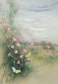 Pink and white flowers on a wispy-leafed vine take up the foreground with two yellow butterflies resting on the flowers. The vine is in a sparse field with rolling hills and cloudy blue skies in the background.