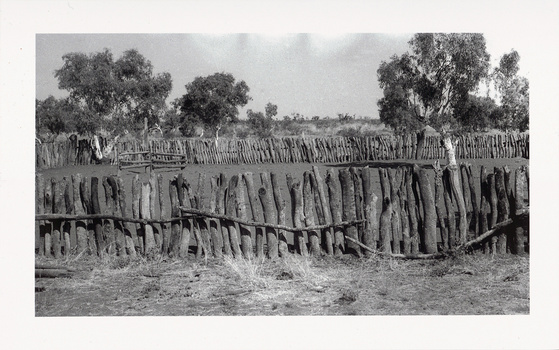 Black and white photograph of arid landscape, with multiple roughly cut tree branches, forming fence around circular arena with horse-jump made from more branches.