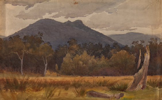 A landscape view of a mountain with grassland and trees in the foreground. A broken tree stump can be seen to the face right of the sheet.