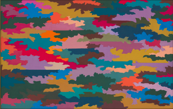 Abstract, colourful camouflage pattern