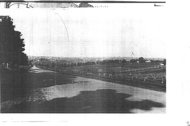 Photograph - Burwood Highway