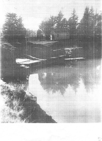 Photograph - Surrey Dive