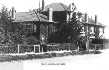 Photograph - Box Hill State School