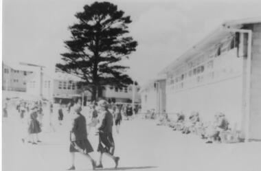 Photograph - Burwood High School - students in the grounds of the school