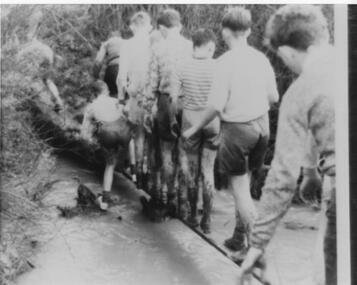 Photograph - Burwood High School
