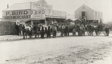 Photograph - Businesses - Saw Mills