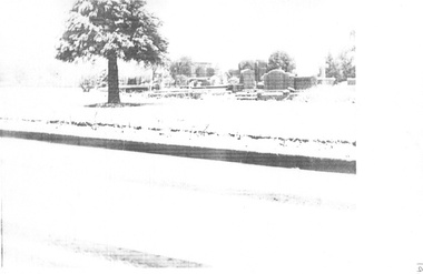 Photograph - Cemeteries - Box Hill, 1/10/1951