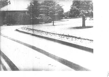 Photograph - Cemeteries- Box Hill, Clem Angus, 1/10/1951
