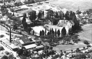 Photograph - Surrey Dive