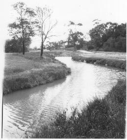Photograph - Gardiners Creek