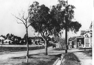 Photograph - Whitehorse Road, c.1900