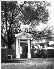 Photograph - White Horse, c.1960s