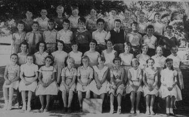 Photograph - Schools - Box Hill State School, 1960