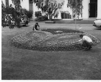 Photograph - Floral display, 1985