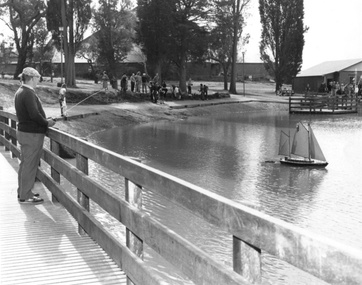 Photograph - Surrey Park