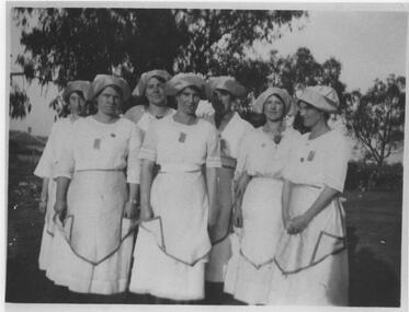 Photograph - City of Box Hill Proclamation Day, 1927