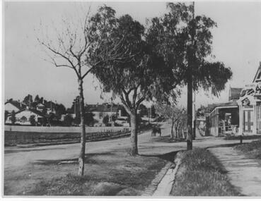 Photograph - Whitehorse Hotel