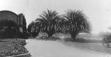 Photograph - Box Hill Cemetery