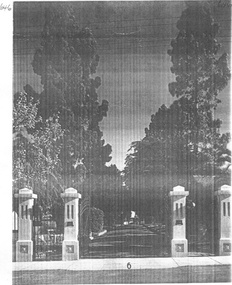 Photograph - Cemeteries - Box Hill