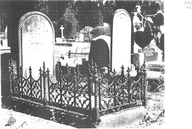 Photograph - Cemeteries - Box Hill, Irvine Green