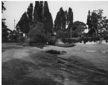 Photograph - Surrey Dive, 1/07/1987