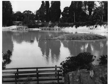 Photograph - Surrey Dive, c.1988