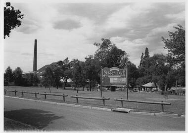 Photograph - Surrey Dive, December 1994