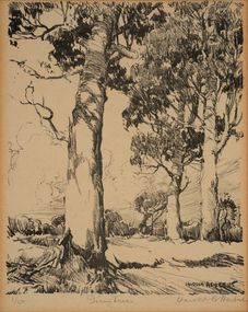Painting, Harold Herbert, Gum Trees, 1907-1930