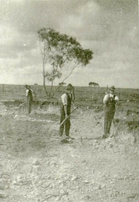 IMAGE REPRODUCED BY CLUNES MUSEUM