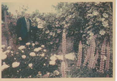 Photograph