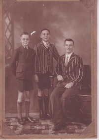 PHOTOGRAPH OF THREE HUDSON BOYS